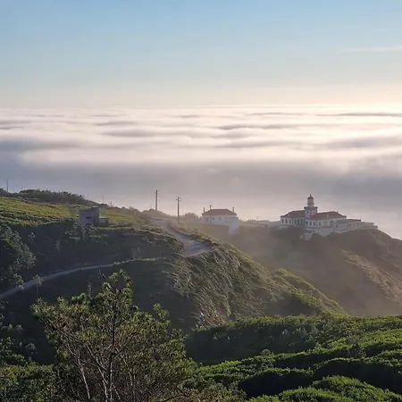Comfortable Rustic House With Spacious Garden Near The ヴィラ フィゲイラ・ダ・フォズ