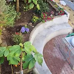 Comfortable Rustic House With Spacious Garden Near The * Figueira da Foz