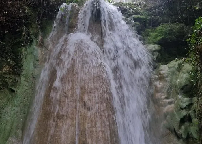 Comfortable Rustic House With Spacious Garden Near The Villa Figueira da Foz