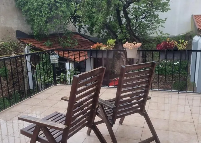 Comfortable Rustic House With Spacious Garden Near The Villa Figueira da Foz